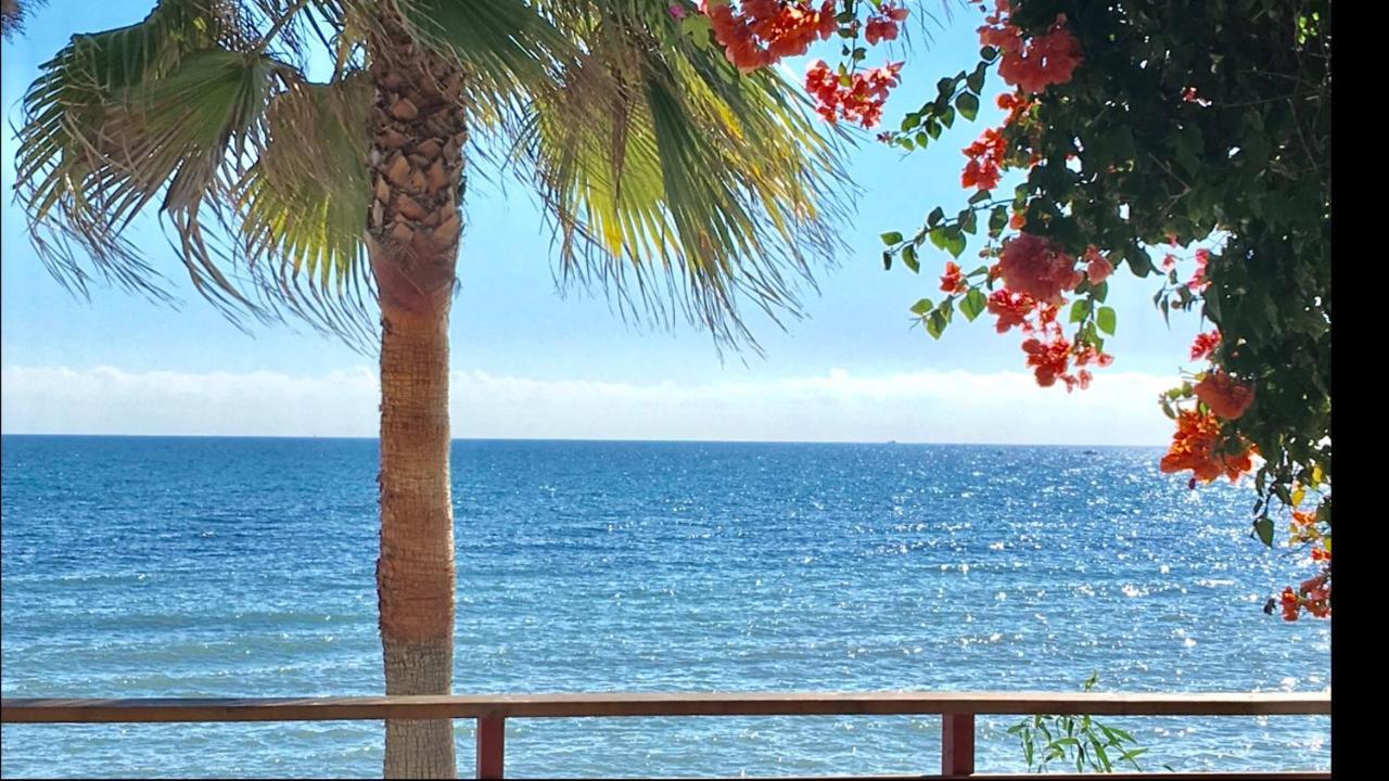Mi Capricho 3-5 Beachfront- Apartment With Sea Views In Costa Del Sol Sitio de Calahonda المظهر الخارجي الصورة